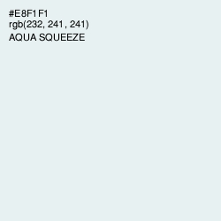 #E8F1F1 - Aqua Squeeze Color Image